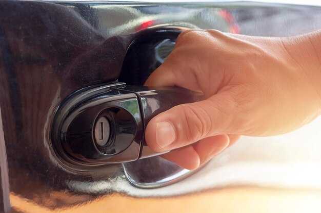 Типы активаторов замка для Рено Симбол