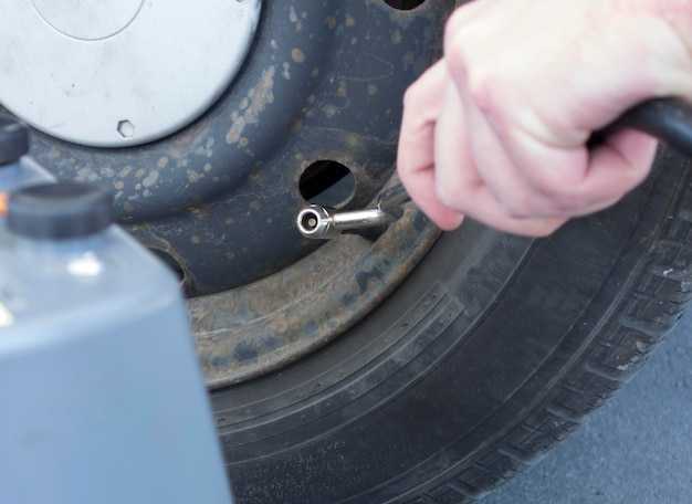 Определение понятия шат рулевой в КамАЗ 5490