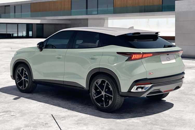 Ценовой сегмент: где найти лучший вариант?