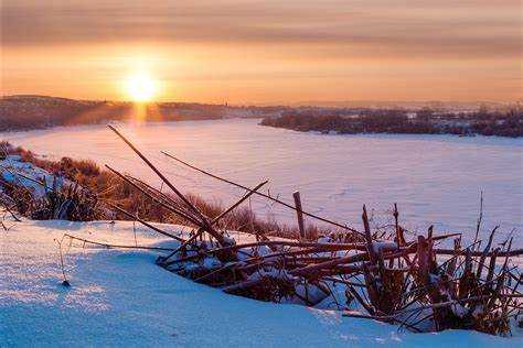 Перспективы сохранения и восстановления экосистемы Оки
