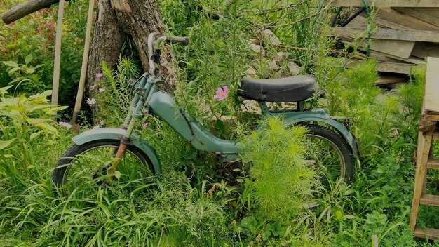 Подвеска: как правильно выбрать и установить